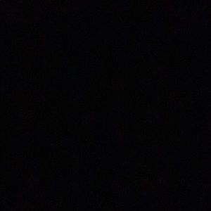 Meet your Posher, Ant